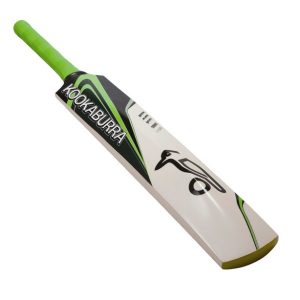 Duis aute irure dolor